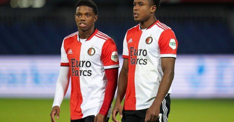 中国金花们 中国金花们