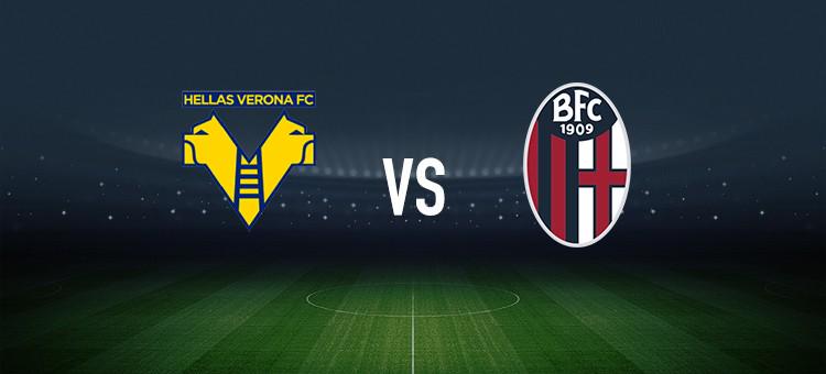 中集中指向 中集中指向